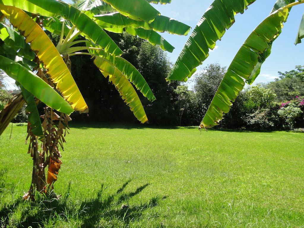 El Molino Hotel Boutique Río Verde Eksteriør bilde