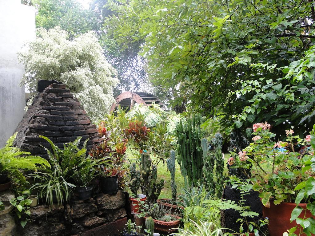 El Molino Hotel Boutique Río Verde Eksteriør bilde