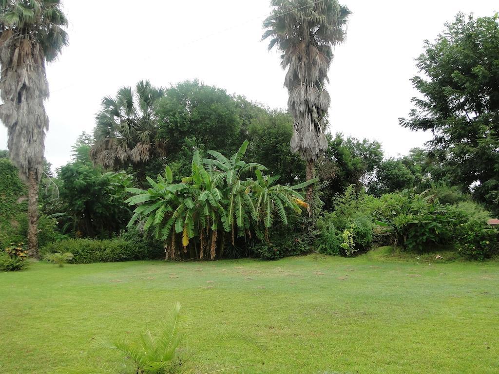 El Molino Hotel Boutique Río Verde Eksteriør bilde