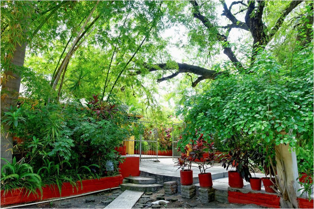 El Molino Hotel Boutique Río Verde Eksteriør bilde